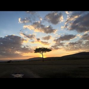 Meet your Posher, Eduardo